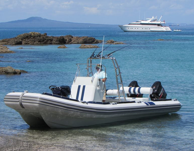 75m cat front side view